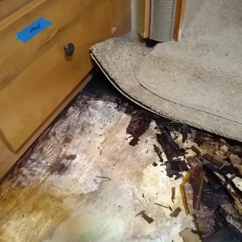 Best Wood Floor Water Damage Service in West Albany, NY